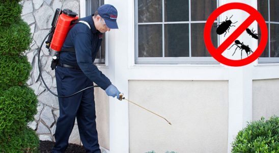 Tefenni Kemirgen İlaçlama böcek ilaçlama ve haşere kontrolü — ilaclama-tr.com